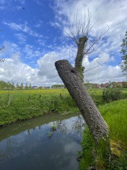 Wandeling Kubus Pieter