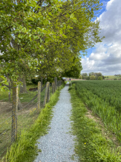 Wandeling Kubus Pieter