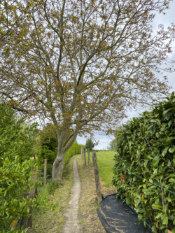 Wandeling landschapskubus Pieter