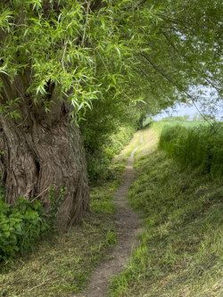 Landschapkubussen in Herne