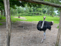 Wat te doen in Genk Labiomista