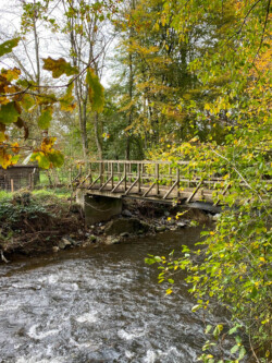Bois de Spineu