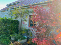 Wandelen in Chardeneux