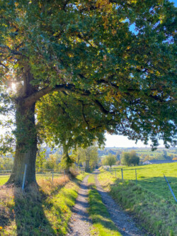 Wandelen in Chardeneux