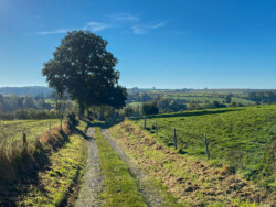 Wandelen in Chardeneux