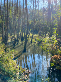 Wandelen in Chardeneux