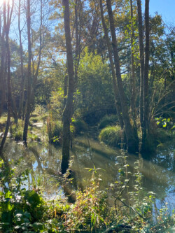 Wandelen in Chardeneux