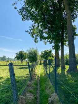 Wandelen in Aspelare