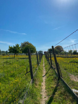 Wandelen in Aspelare