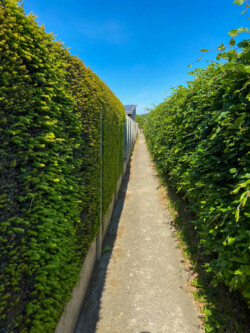 Wandelen in Aspelare