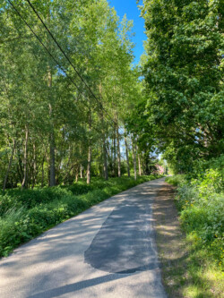 Wandelen langs trage wegen