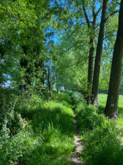 Wandelen in Aspelare