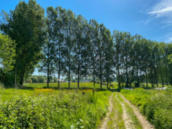 Wandelen in Aspelare