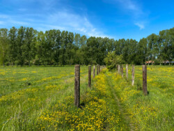 Wandelen in Aspelare