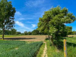 Wandelen in Aspelare