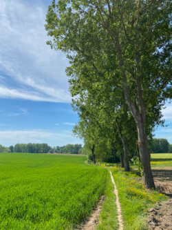 Wandeling Aspelare