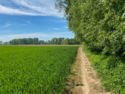 Wandelen in de mooie natuur