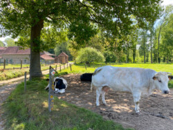 Natuur