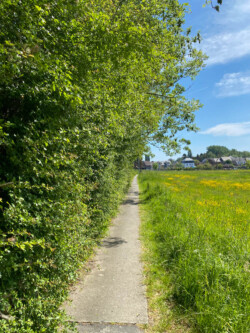 Einde van de wandeling