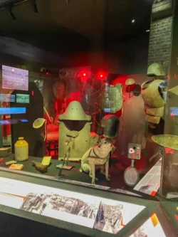 In Flanders Field museum