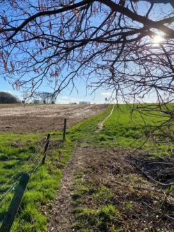 Zwijnenbergwandeling
