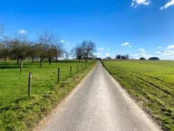 Zwijnenbergwandeling