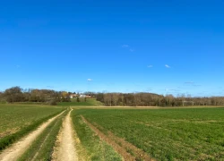 Zwijnenbergwandeling