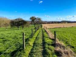 Zwijnenbergwandeling