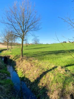Zwijnenbergwandeling
