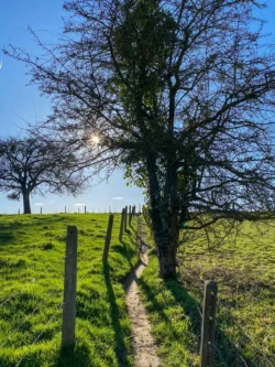 Zwijnenbergwandeling