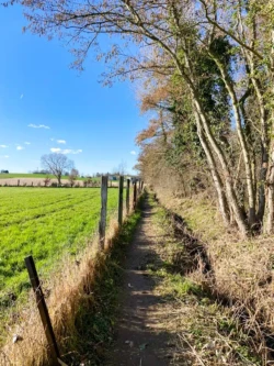 Zwijnenberg wandeling