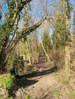 Zwijnenberg wandeling