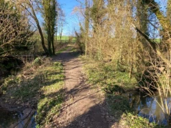 Zwijnenberg wandeling