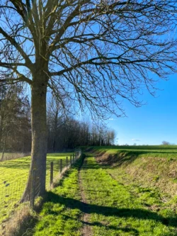 Zwijnenbergwandeling