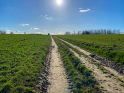 Zwijnenbergwandeling