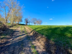Zwijnenberg wandeling