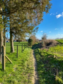 Zwijnenbergwandeling