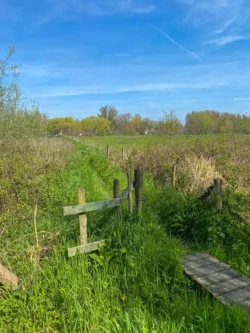 Mespelwegel wandelroute