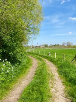 Mespelwegel wandelroute