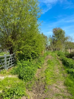 Mespelwegel wandelroute