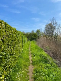 Mespelwegel wandelroute