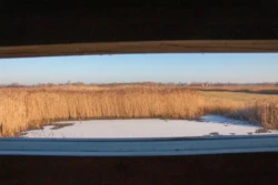 Uitkerkse Polder wandeling