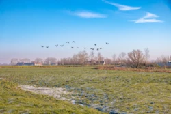 Uitkerkse Polder