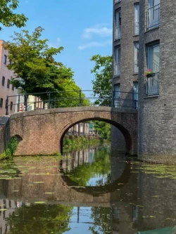 Wat te doen in Amersfoort