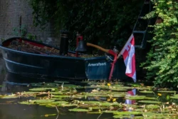 Amersfoort van op het water