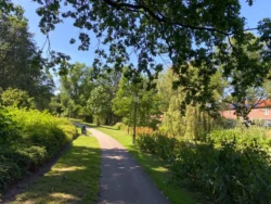 Wat te doen in Amersfoort