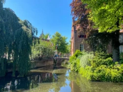 Wat te doen in Amersfoort