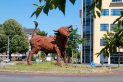 Wat te doen in Amersfoort