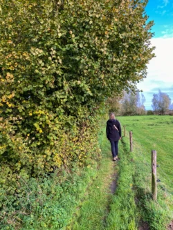 Vlasrotersroute