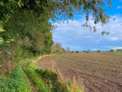 Vlasrotersroute